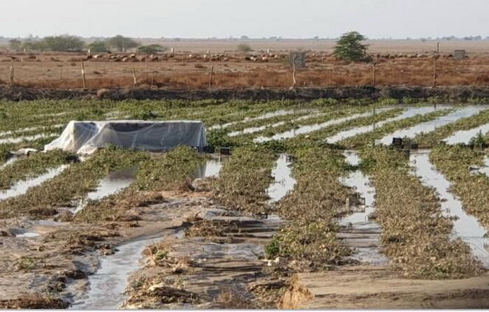 وزارت جهاد کشاورزی بر اساس چه شاخص هایی به این سرعت به برآورد 10 میلیارد تومان خسارت سیل رسید؟