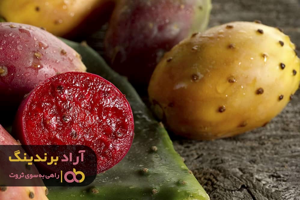 برسی قیمت میوه گلابی خاردار یا انجیر هندی و فواید آن