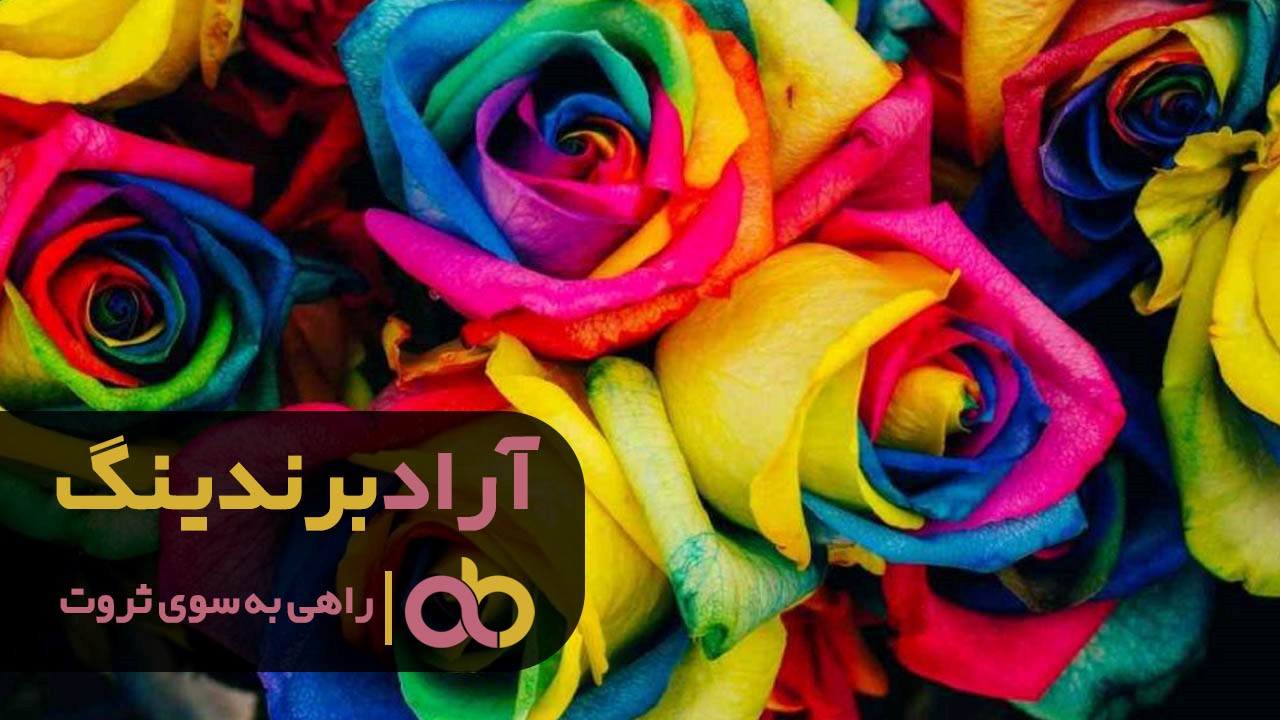 گل رز پولیانتا هدیه ای مناسب برای تمام افراد