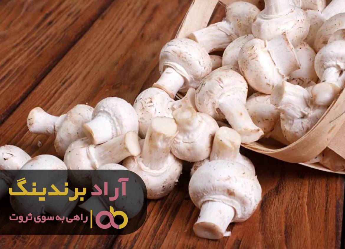 قارچ خوراکی اصفهان را نخورید