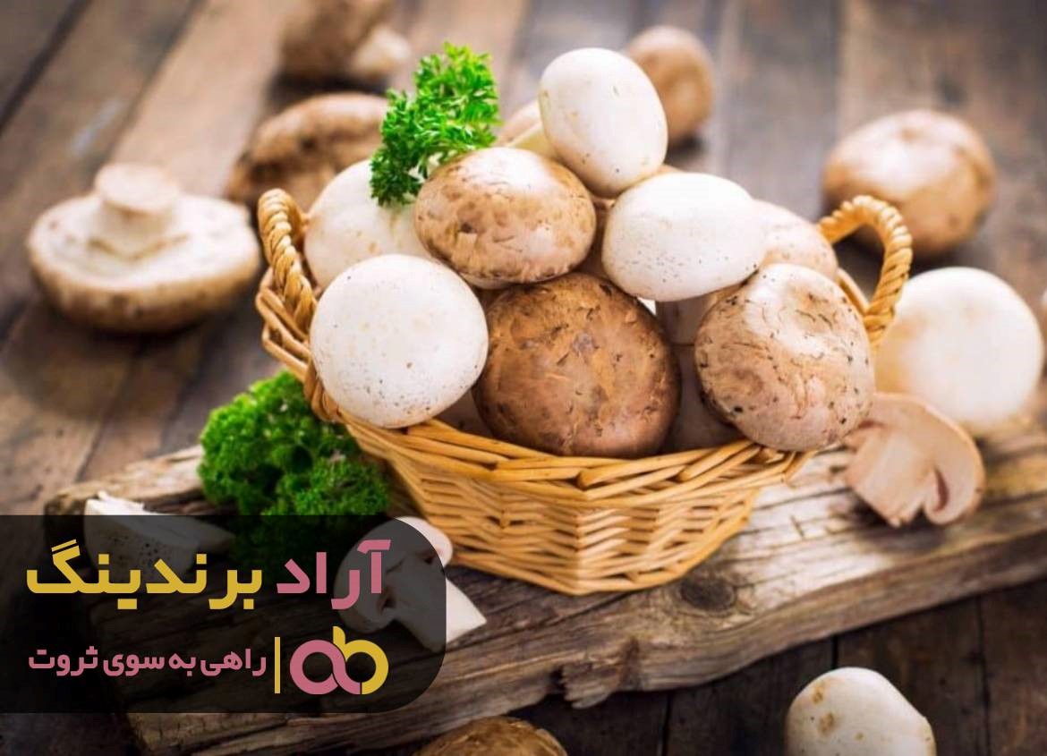 قارچ خوراکی اصفهان را نخورید