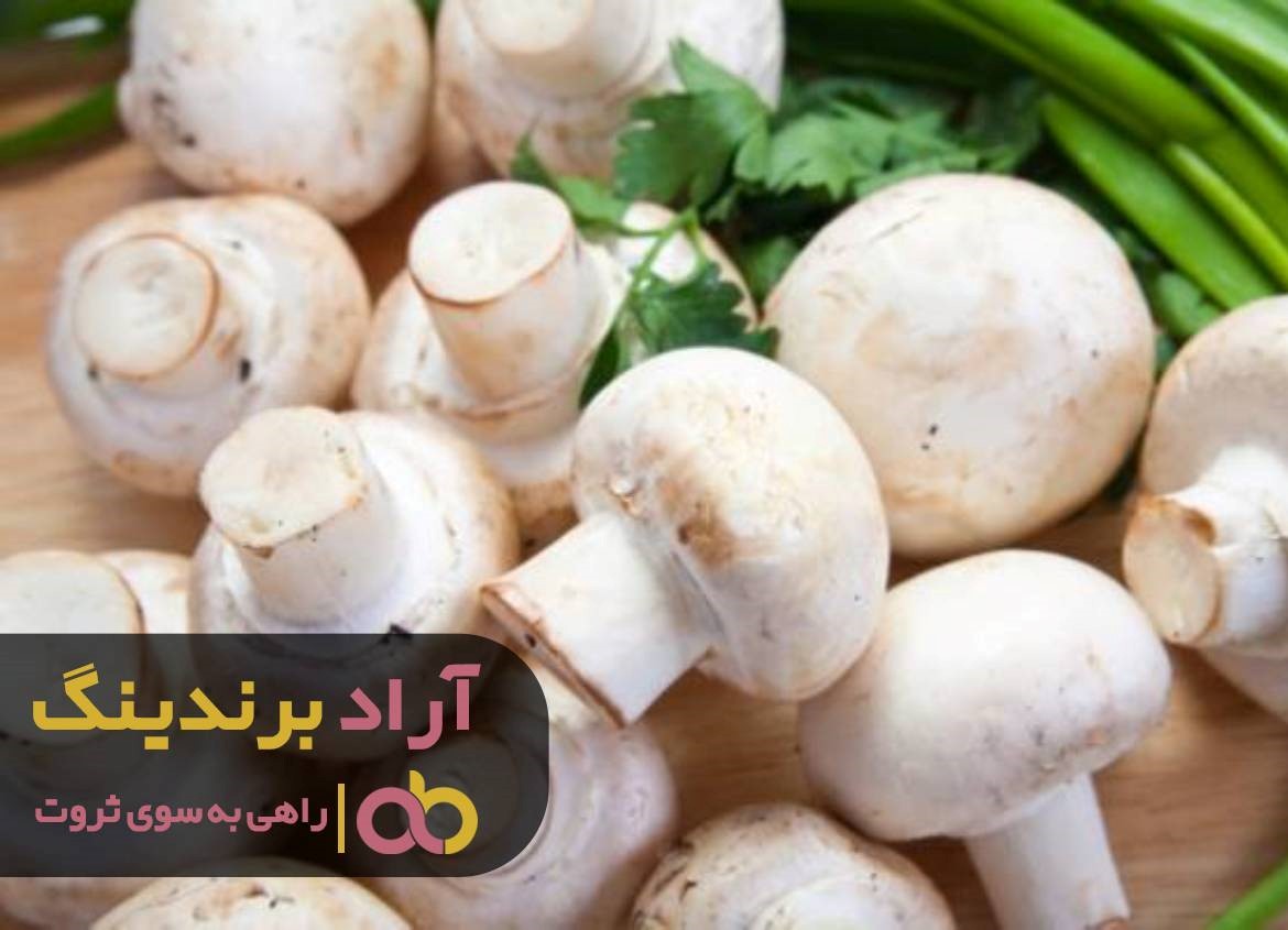 قارچ خوراکی اصفهان را نخورید