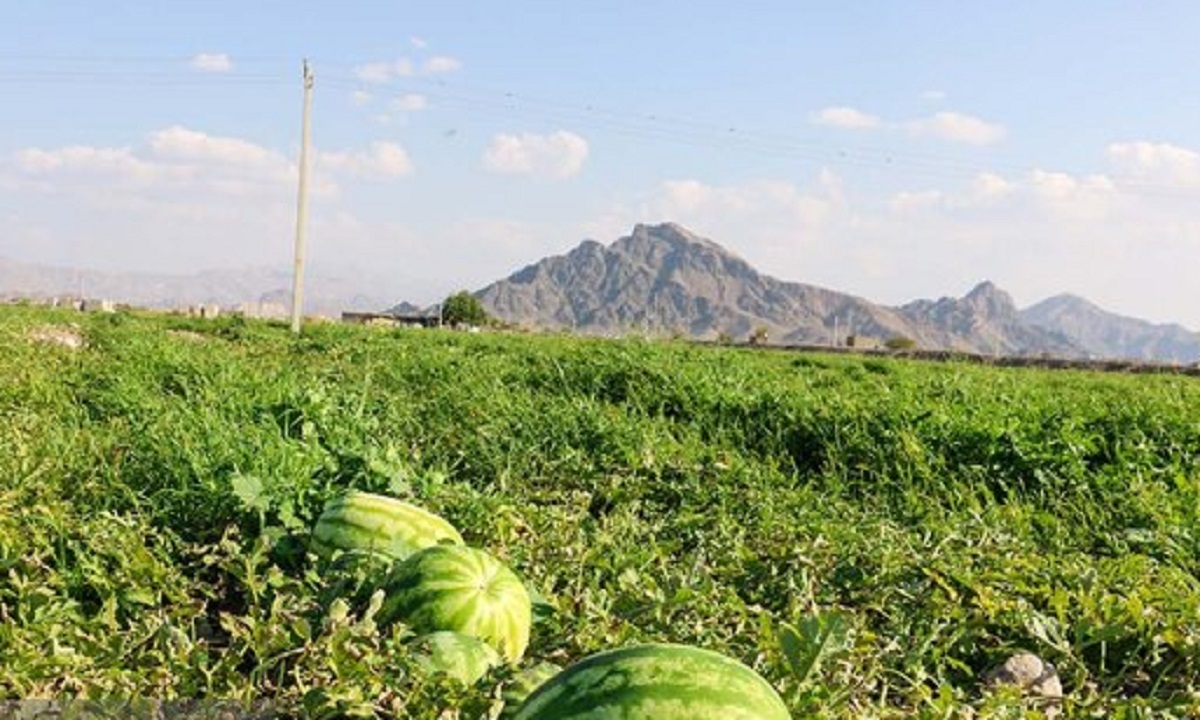 افزایش حداقل ۱۰۰ درصدی تعرفه های صادراتی محصولات آب بر