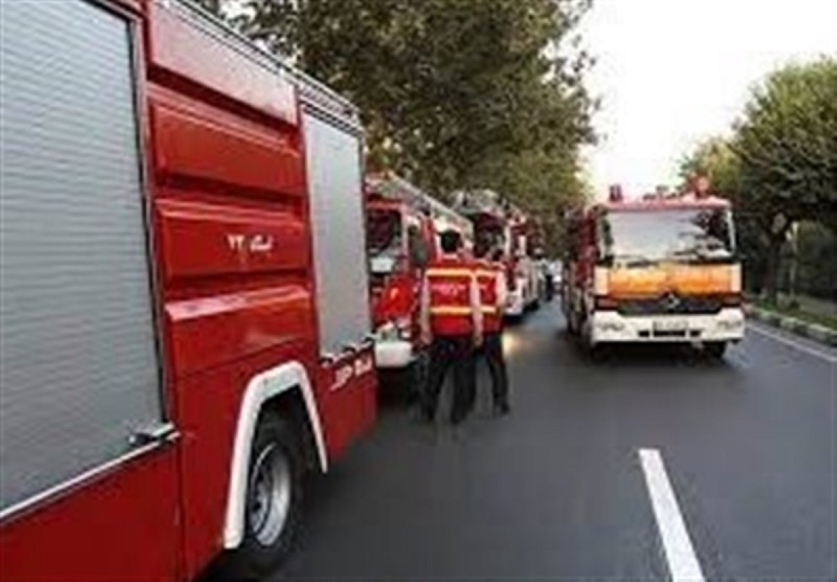 بی‌احتیاطی کارگران باعث آتش‌سوزی در پارک ارم شد!