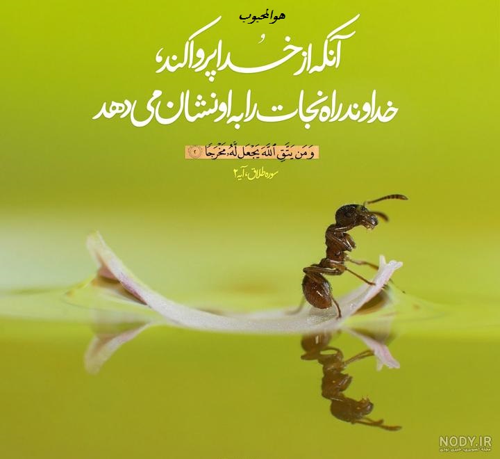 این وعده بر حق خداست