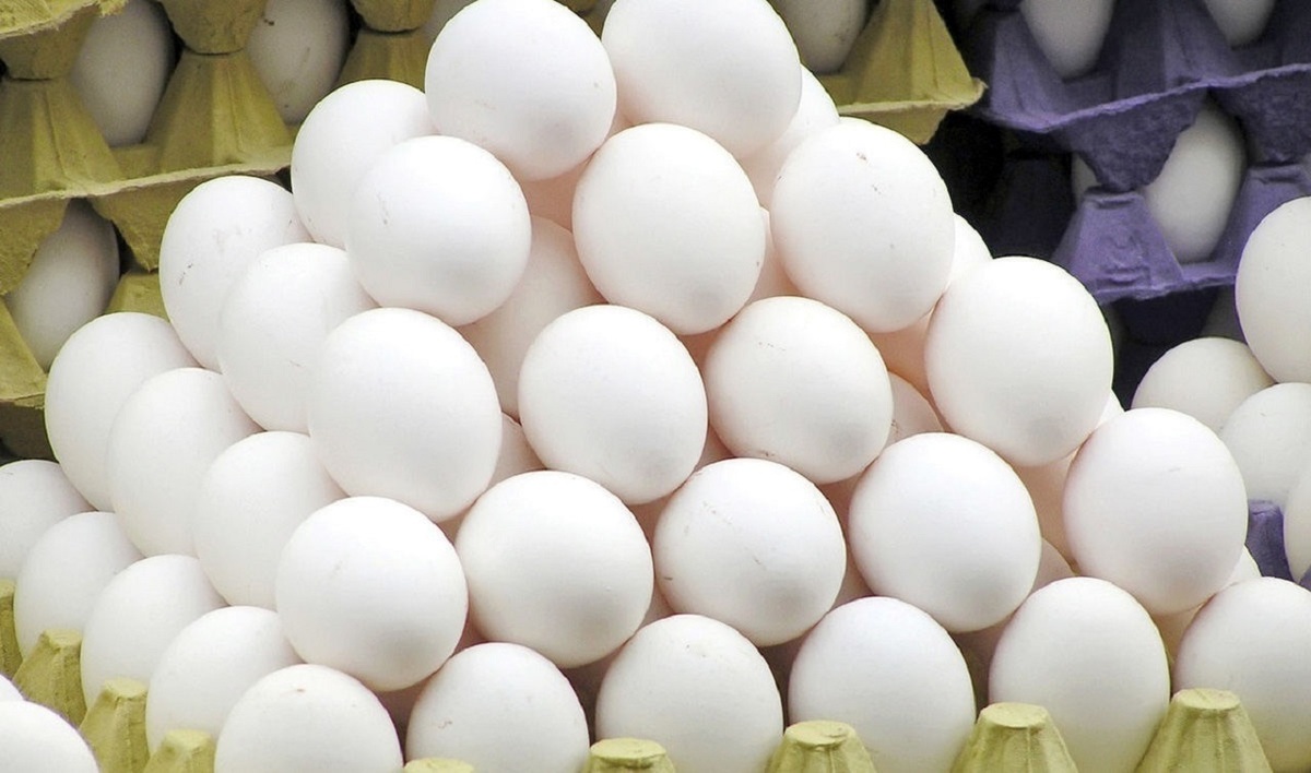 سرانه مصرف تخم‌مرغ ایران نصف متوسط دنیاست