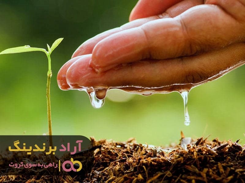 به آسانی می توان در کمترین زمان به خوشبختی رسید