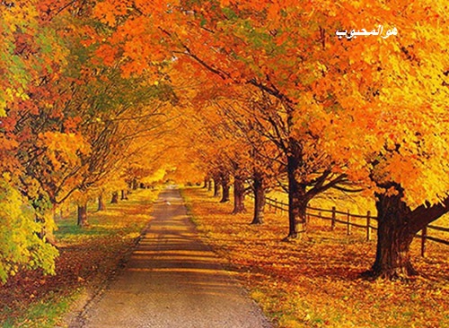 صبح اولین روز آبان ماه بخیر