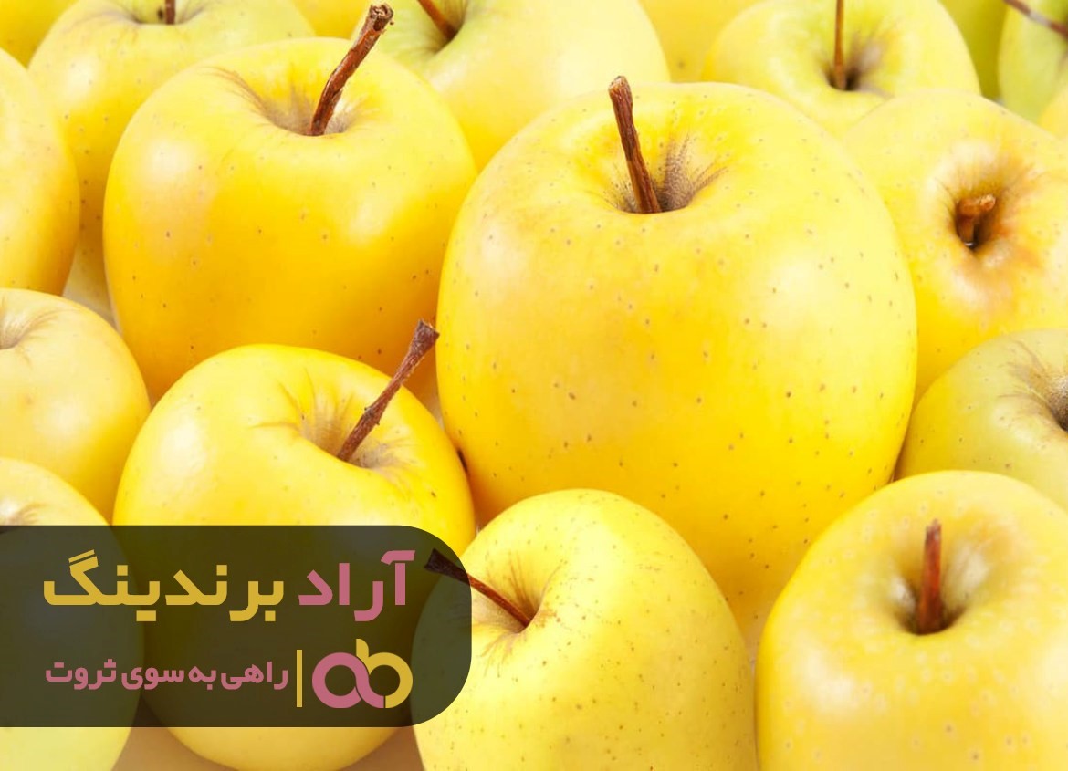 با این روش پول به سمت شما سرازیر می شود