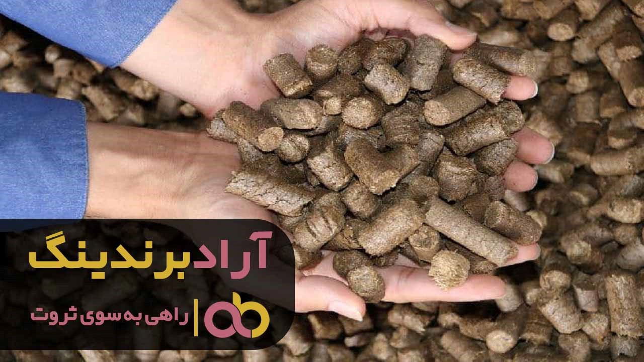 در کمتر از سه ماه به یک میلیاردر تبدیل شوید