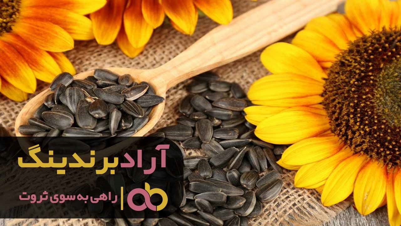 هر آنچه که باید درباره باورهای ثروت ساز بدانید