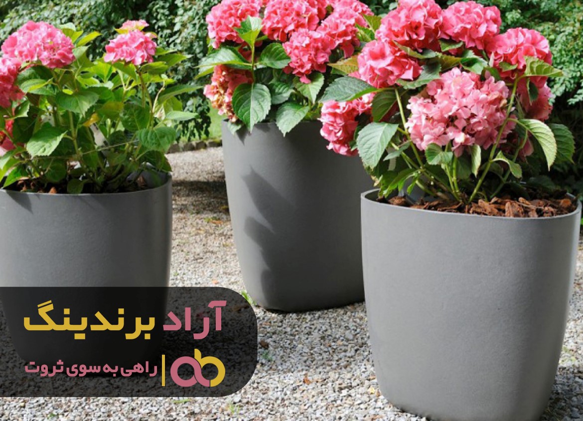 یک کارآفرین موفق چگونه شخصیتی داشته باشد