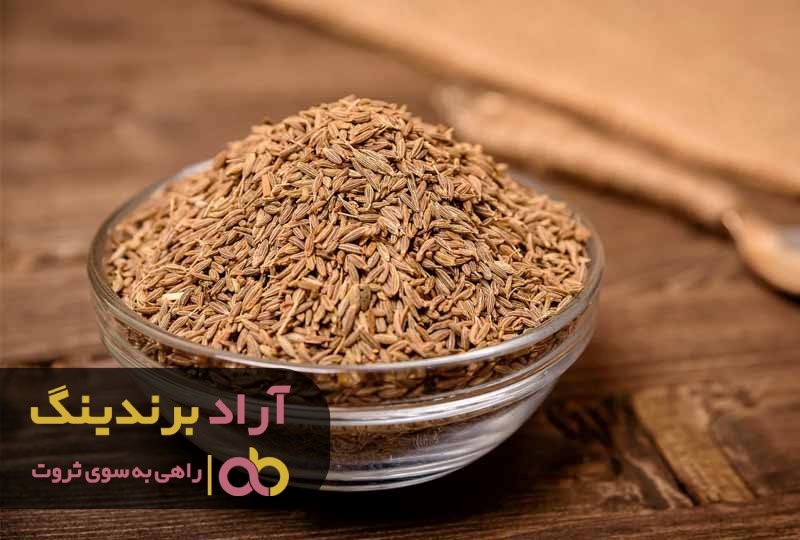 چگونه با کار پاره وقت به درآمد رسیدم