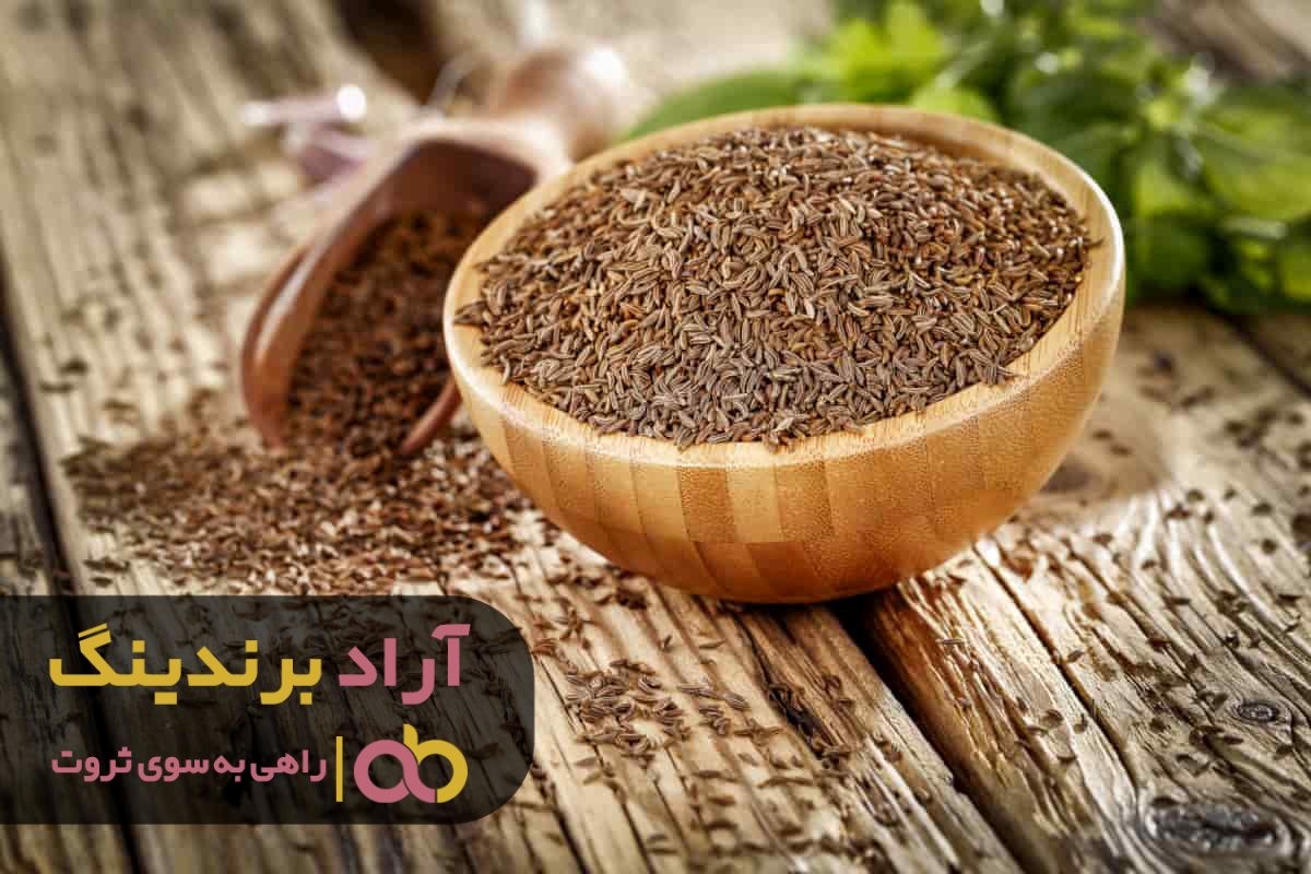 چگونه با کار پاره وقت به درآمد رسیدم