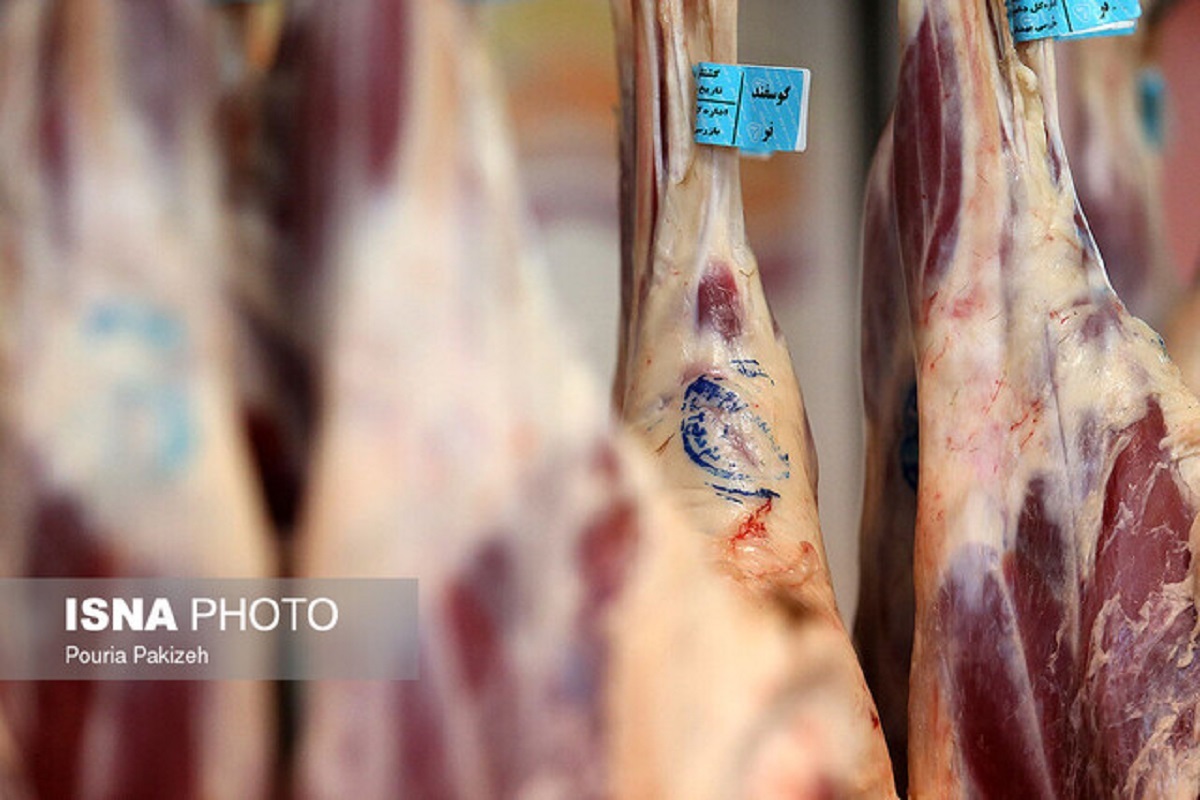 سازمان دامپزشکی: امکان تقلب در فروش گوشت قرمز وجود ندارد