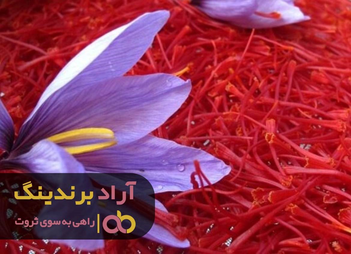 با زعفران به آرامش مالی رسیدم