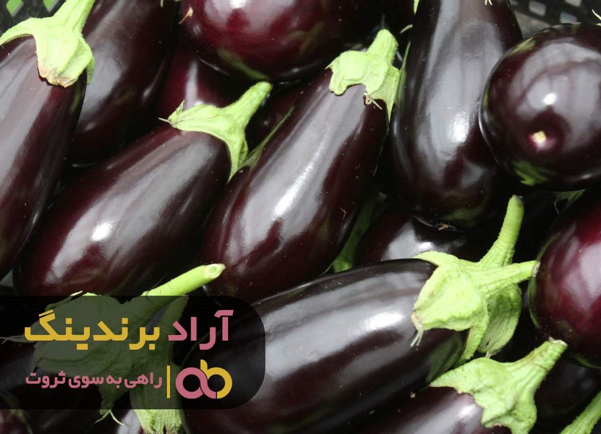 از خانه داری تا ثروت با بادمجان