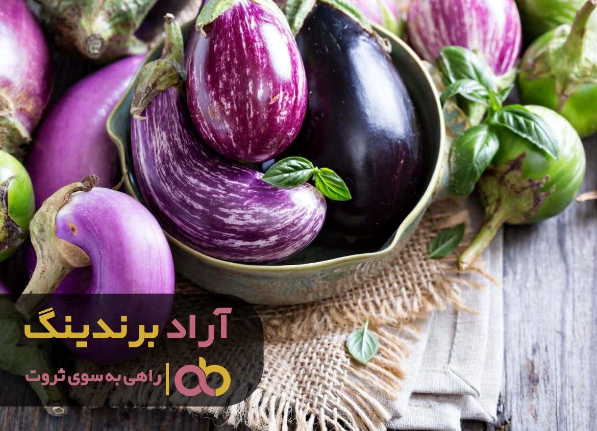 از خانه داری تا ثروت با بادمجان