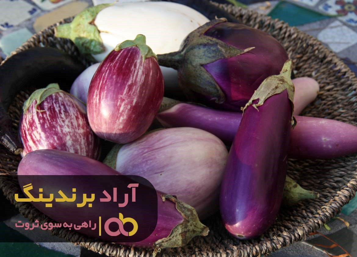 از خانه داری تا ثروت با بادمجان