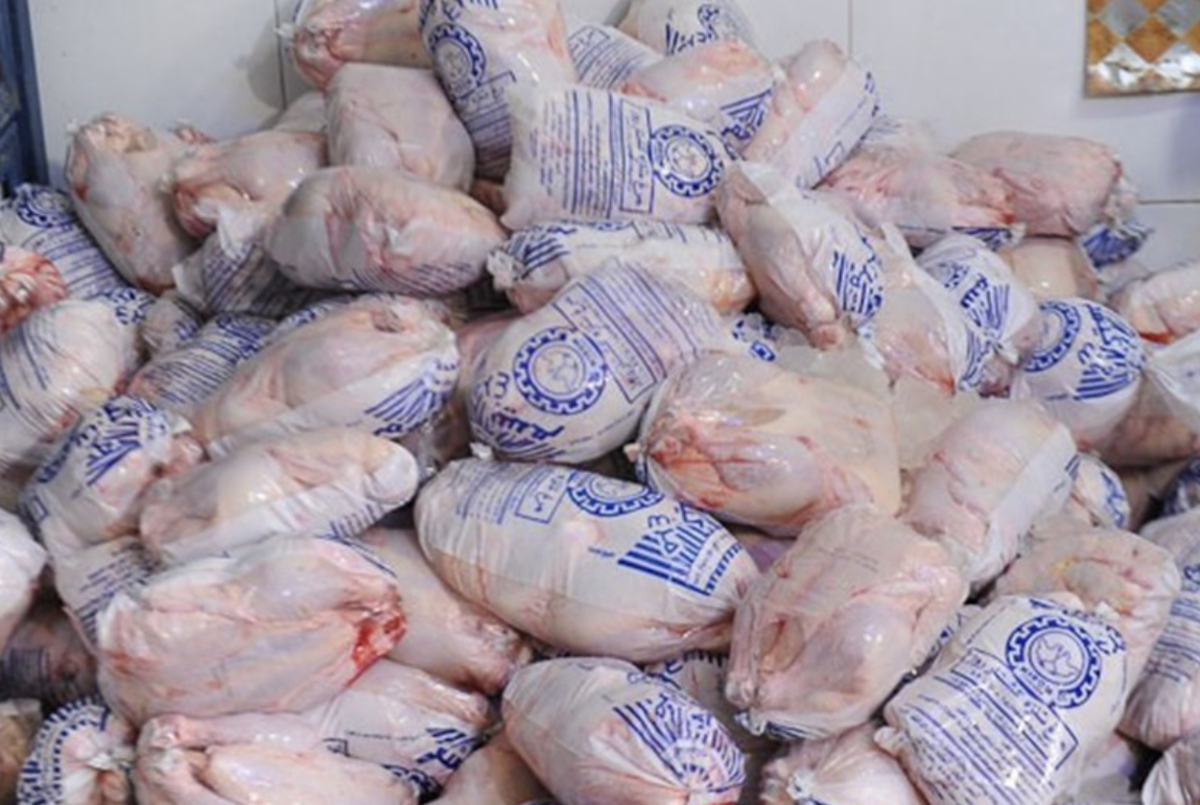 توزیع روزانه ۱۰۰۰ تن مرغ منجمد با قیمت ۴۵ هزار تومان آغاز شد