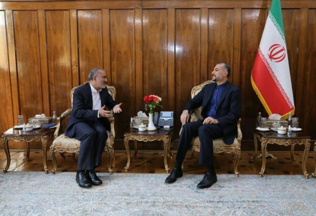 سرکنسول ایران در شهر قاپان ارمنستان با امیرعبداللهیان دیدار کرد