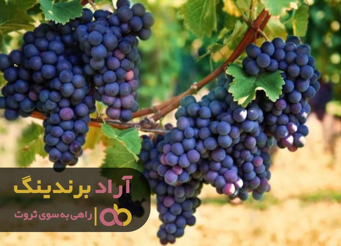 موفقیت بستگی به میزان تمایل هر شخصی در پیشرفت دارد