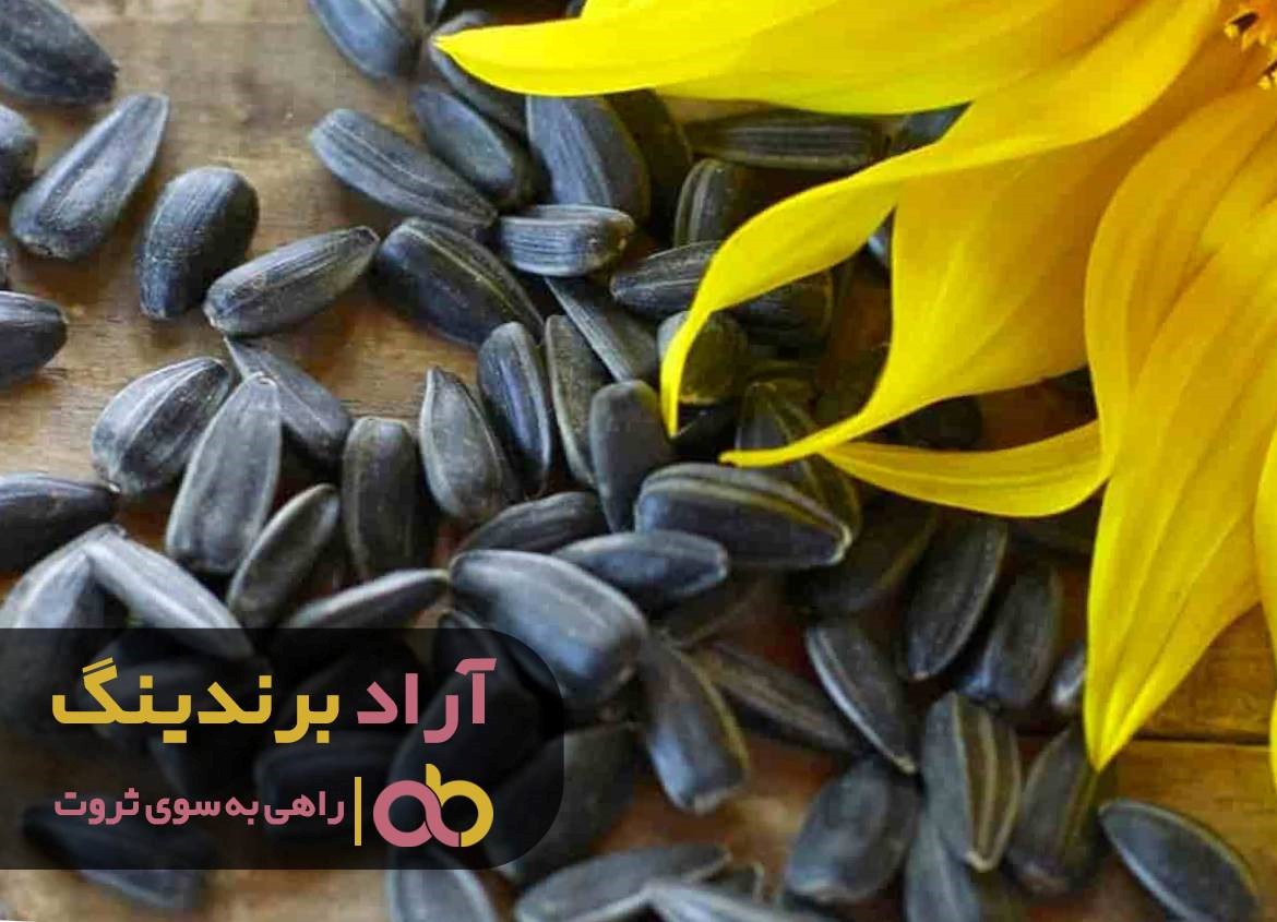 به آسانی شکستن تخمه به ثروت رسیدم