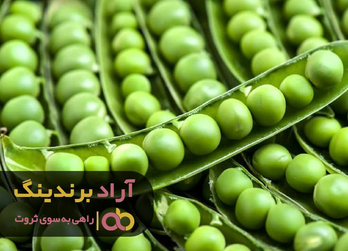 چطور فقر را به ثروت تبدیل کردم