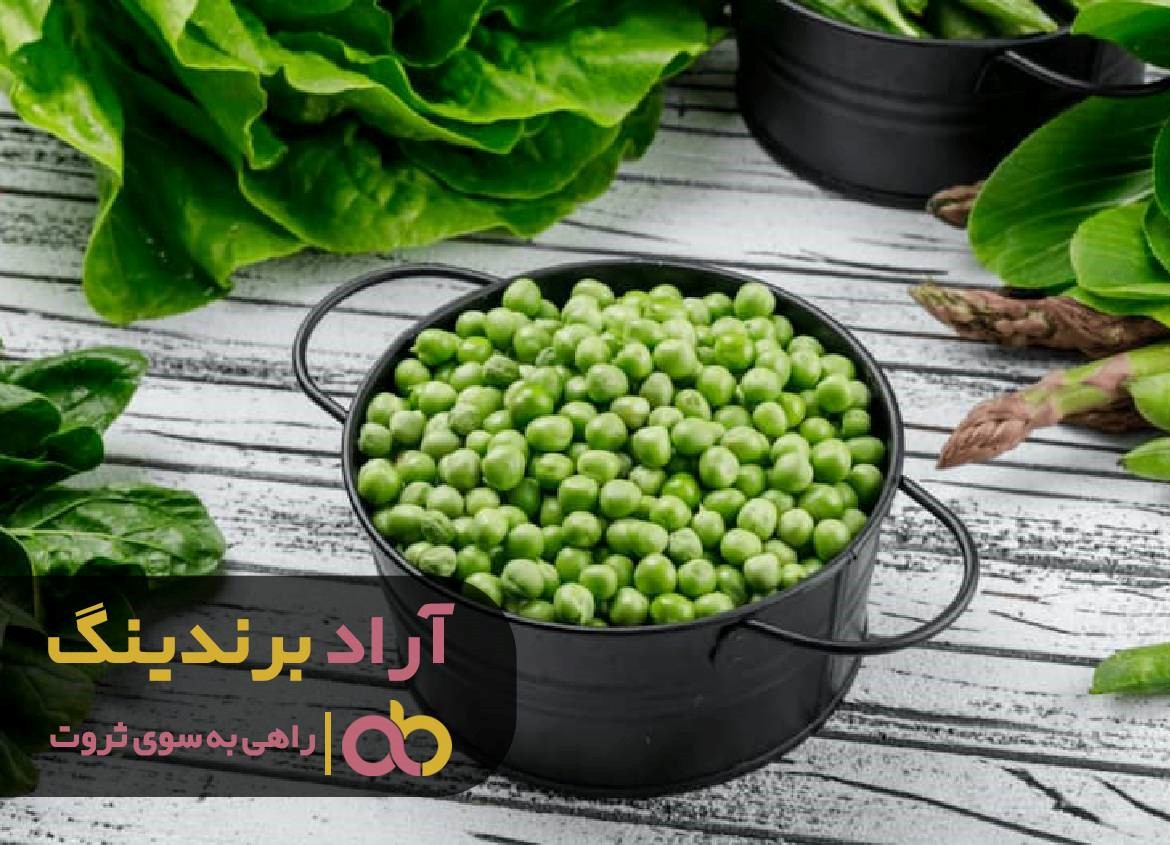 چطور فقر را به ثروت تبدیل کردم