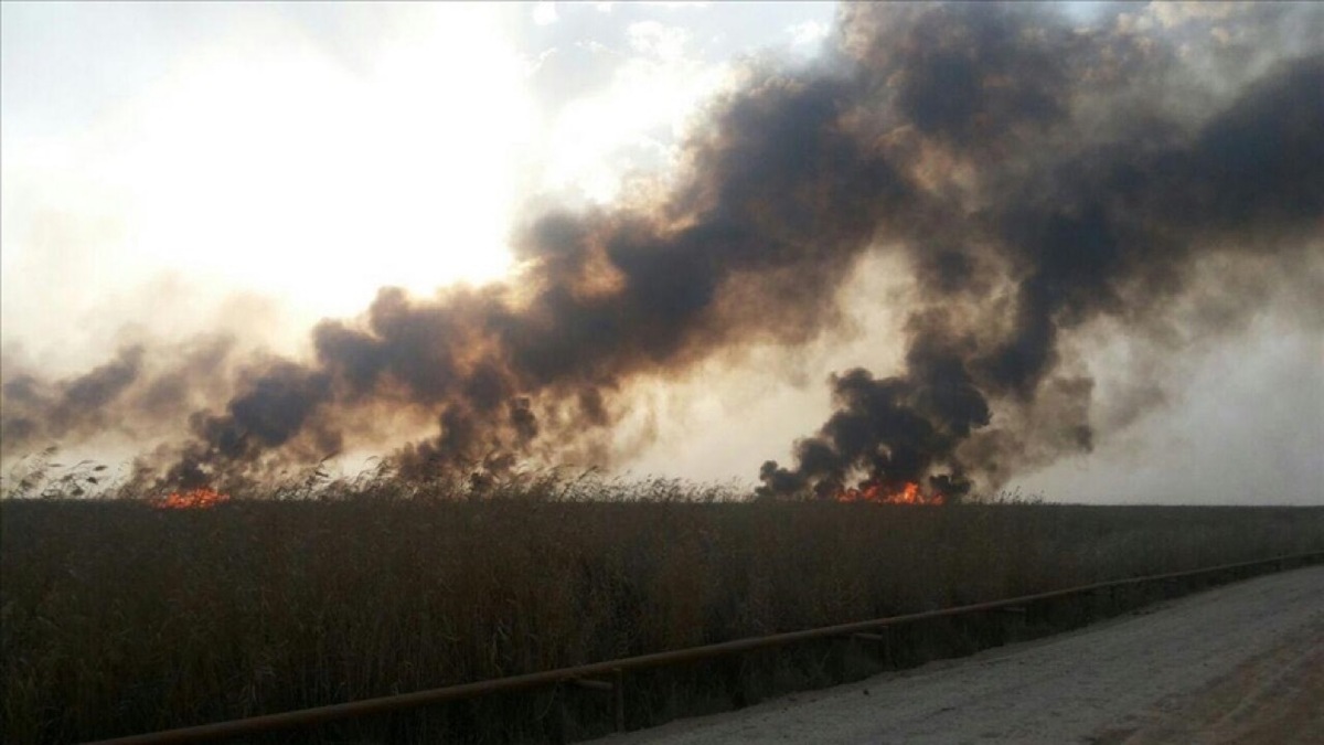 آتش بخش عراقی تالاب هورالعظیم خاموش شد