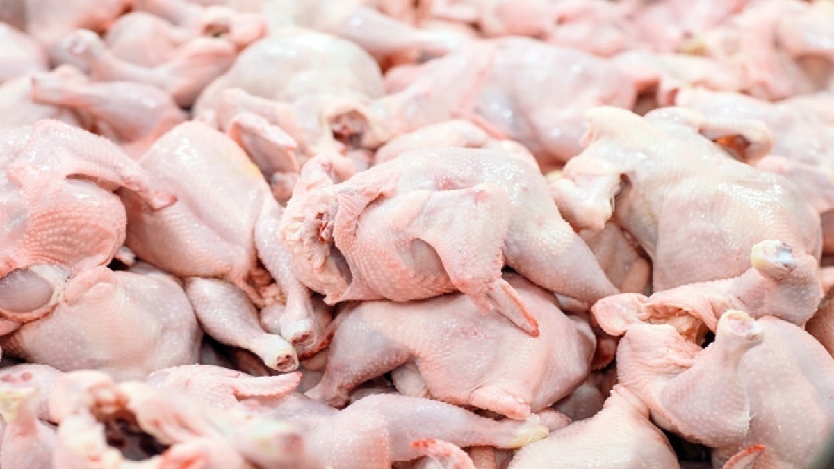 تقاضا برای خرید مرغ در بازار افزایش یافت