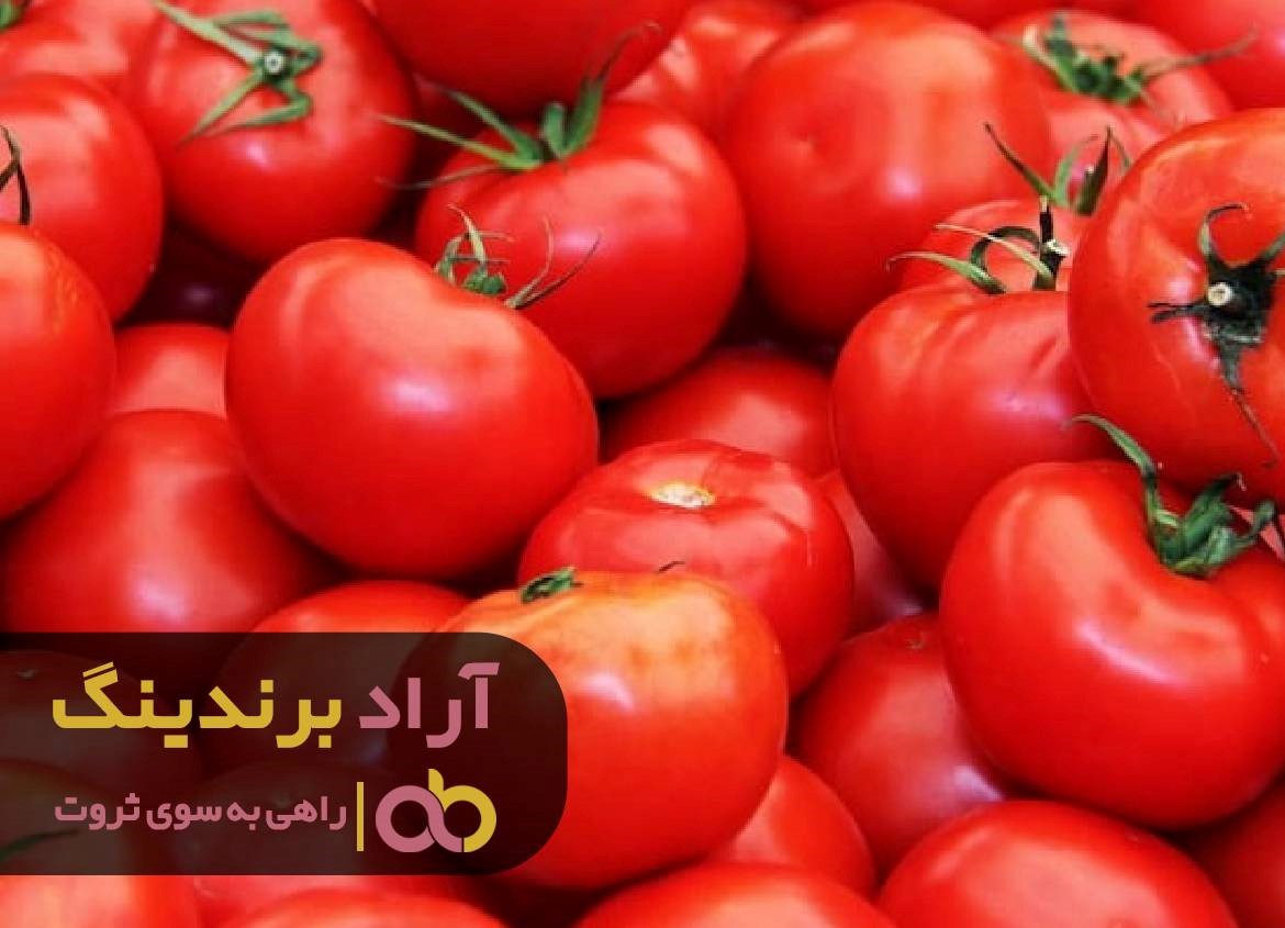 مسیر ثروتمند شدن را با کمک افراد موفق یافتم