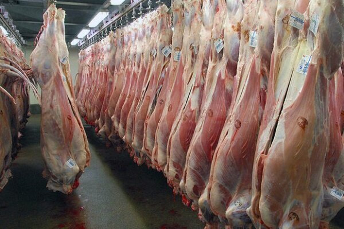 قیمت نهاده های دام عامل گرانی گوشت قرمز است