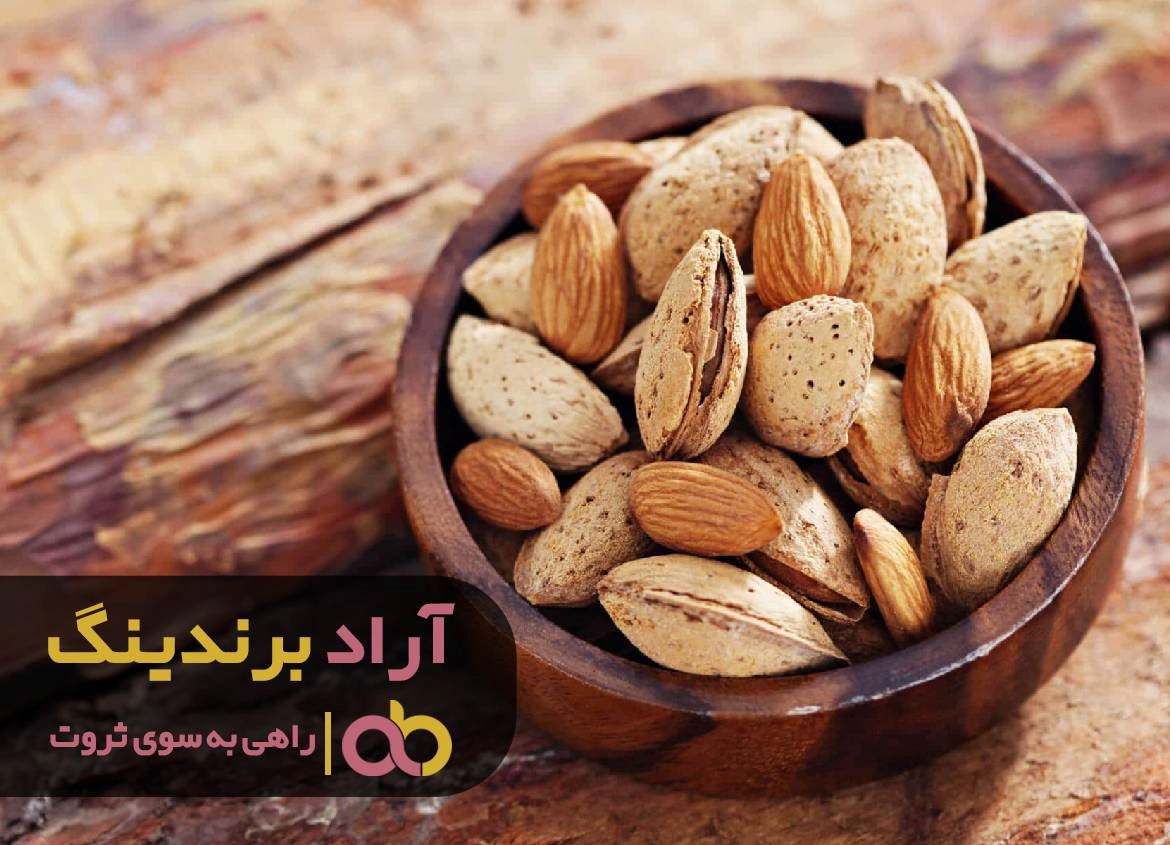 با دستیابی به ثروت از دره فقر گریختم