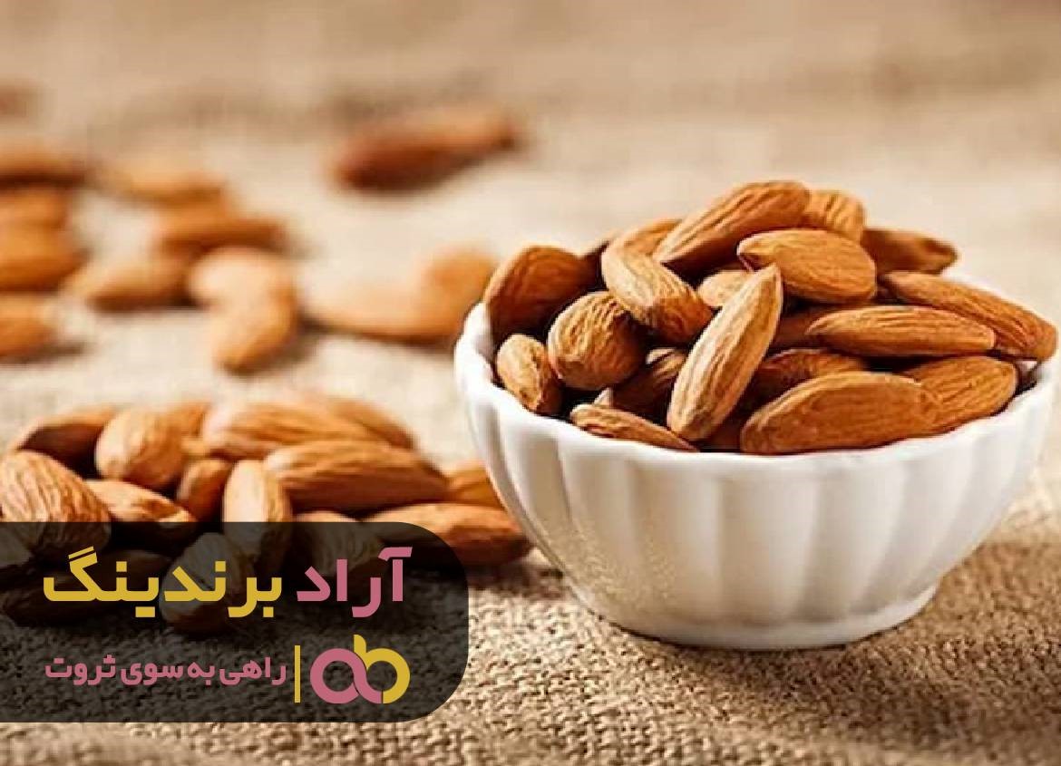 با دستیابی به ثروت از دره فقر گریختم