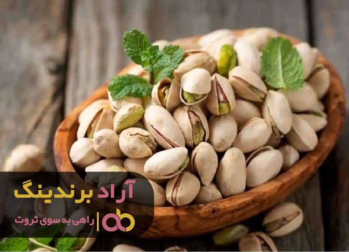 با یک محصول استثنایی میانبری به سوی ثروت زدم