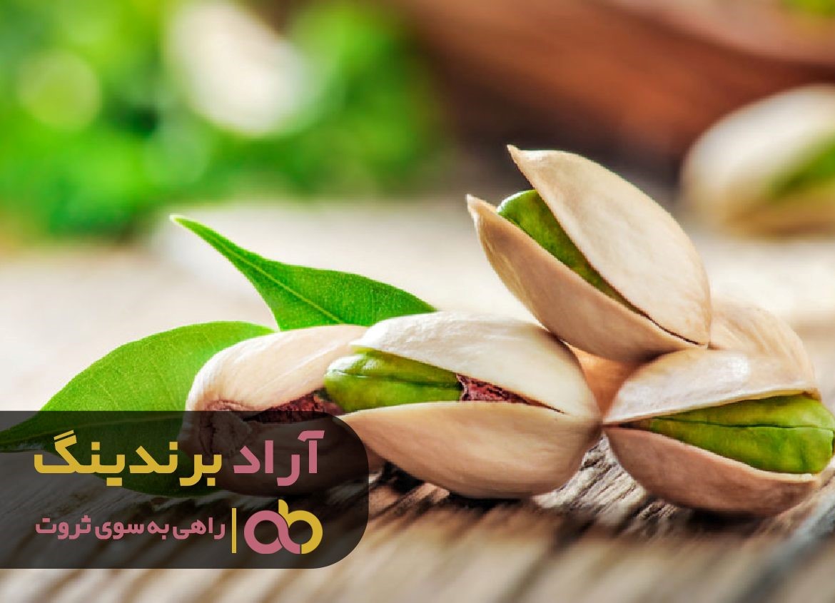 سفر به یک روستا عامل ثروتمند شدن من بود