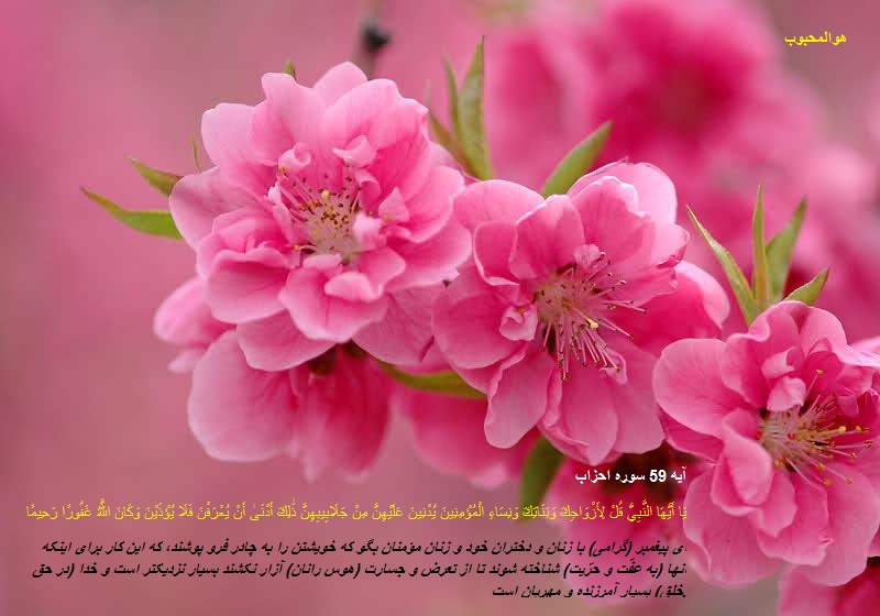 جایگاه و عظمت واقعی زنان