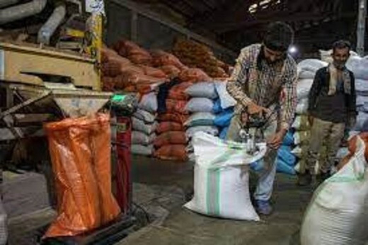 بیش از ۵۰ درصد برنج سال گذشته فروش نرفته است