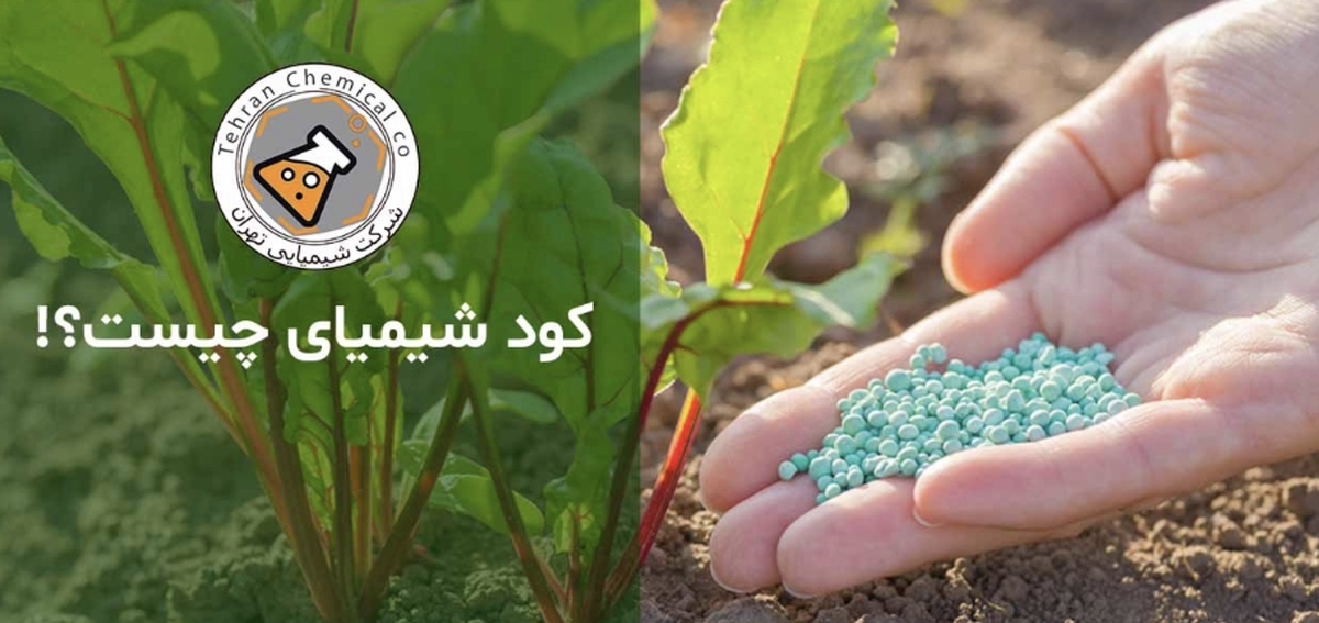 کود شیمیایی چیست و بررسی قیمت آن