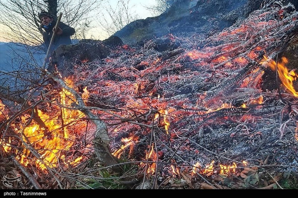 آتش‌سوزی جنگلی در ۱۷ نقطه از استان گیلان/ ‌۲۲.۸ هکتار از اراضی در آتش سوخت