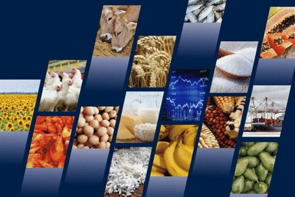 برای این آمارها نگران باشیم؟!