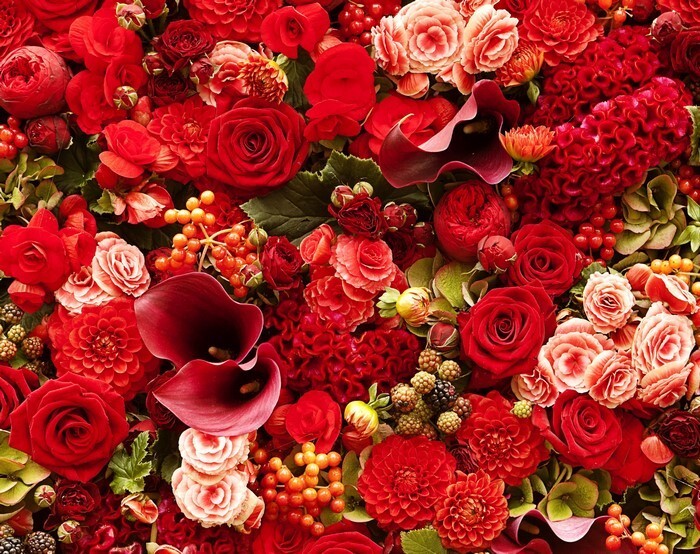 پیشنهادهای جذاب برای خرید گل برای عزیزان