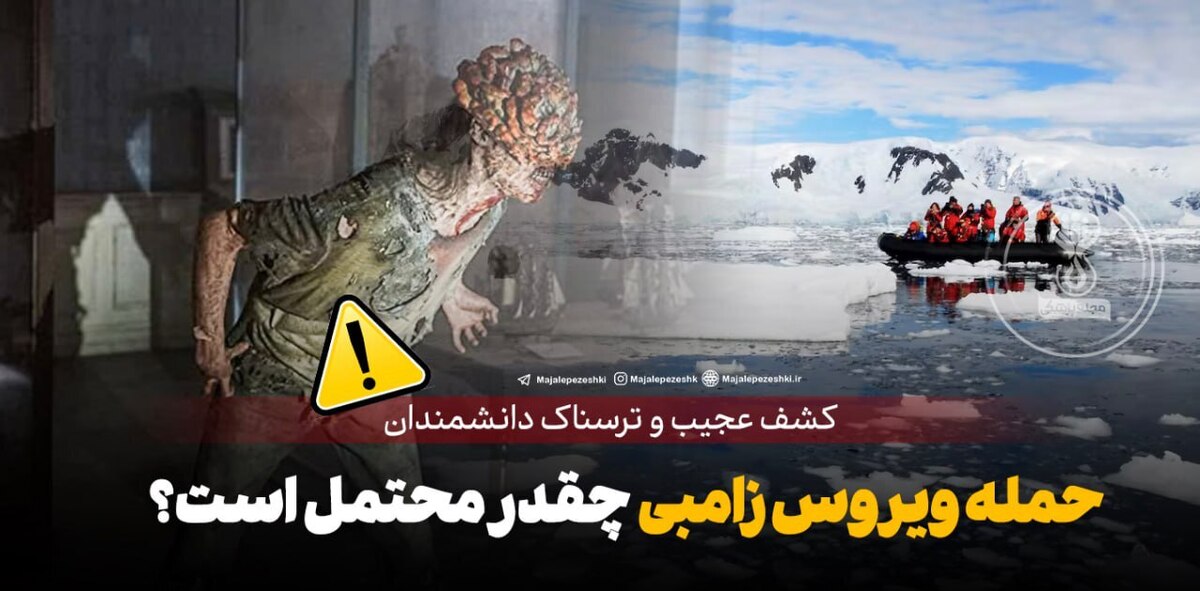 حمله ویروس زامبی چقدر محتمل است؟