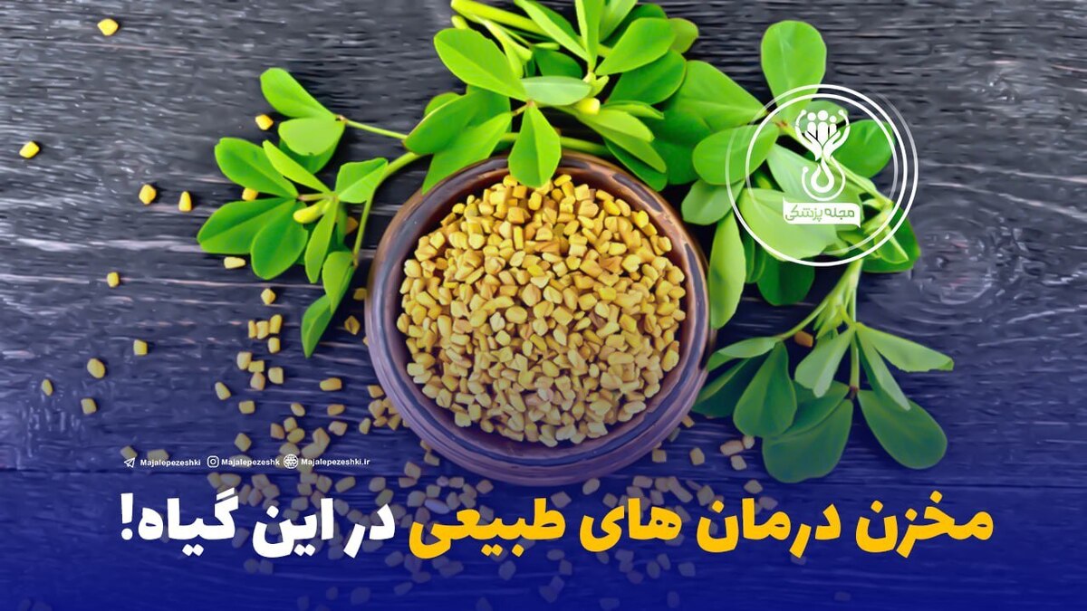 مخزن درمان های طبیعی در این گیاه!
