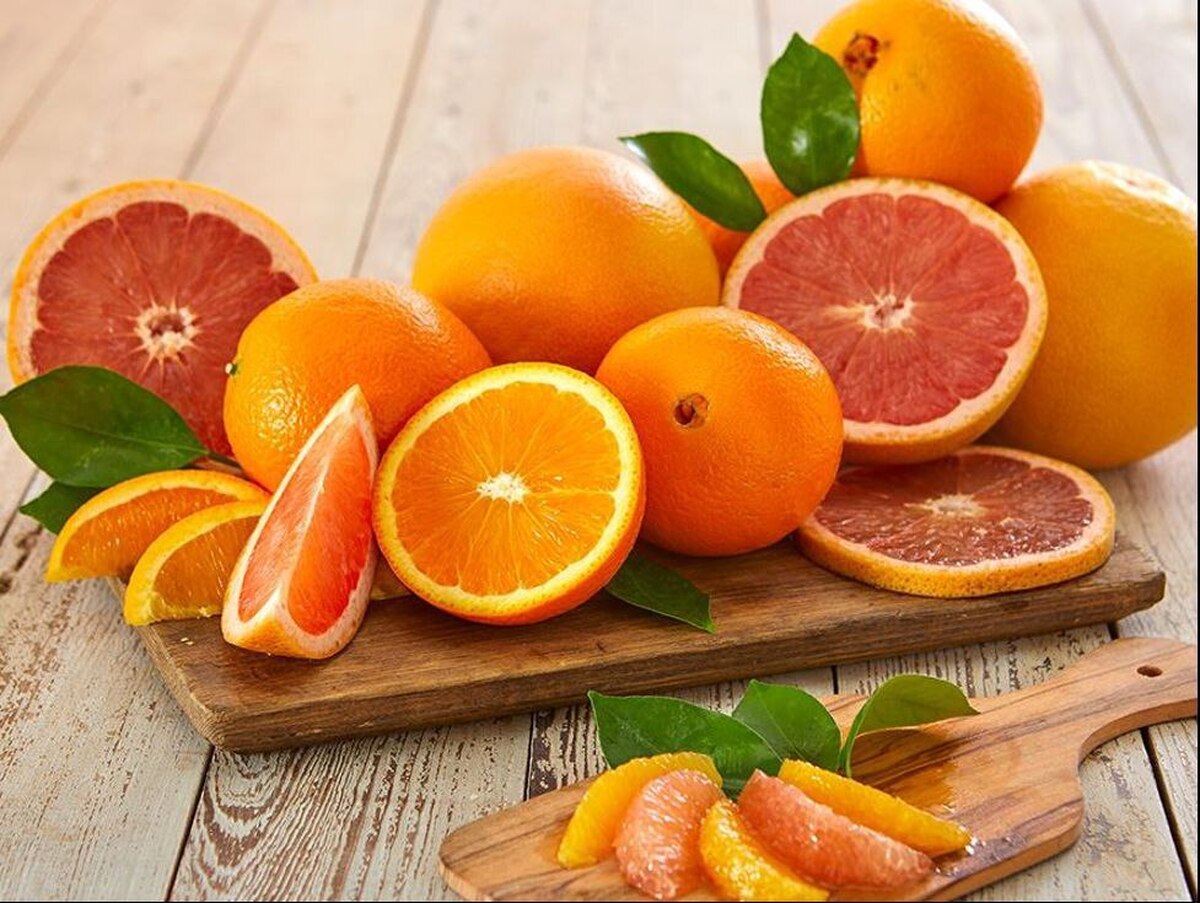 صادرات پرتقال ادامه دارد/ ذخیره پرتقال مازاد بر نیاز در سردخانه‌هاست