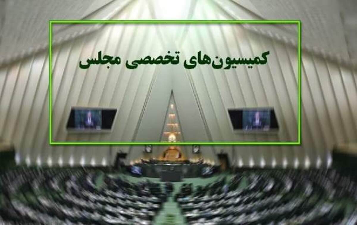 بی رمقی برخی کمیسیونهای تخصصی مجلس در آخرین هفته سال