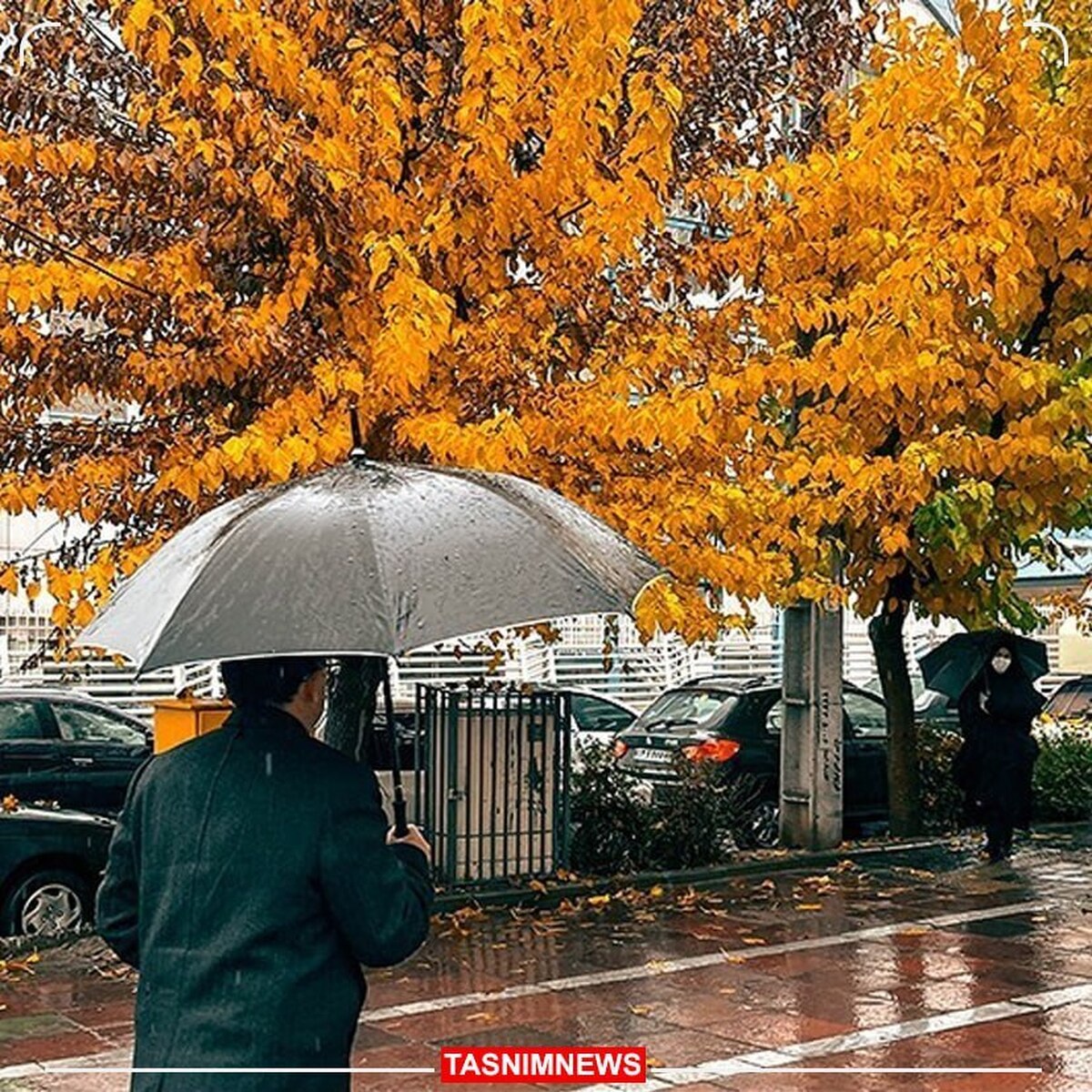 آغاز بارندگی در تهران از عصر امروز