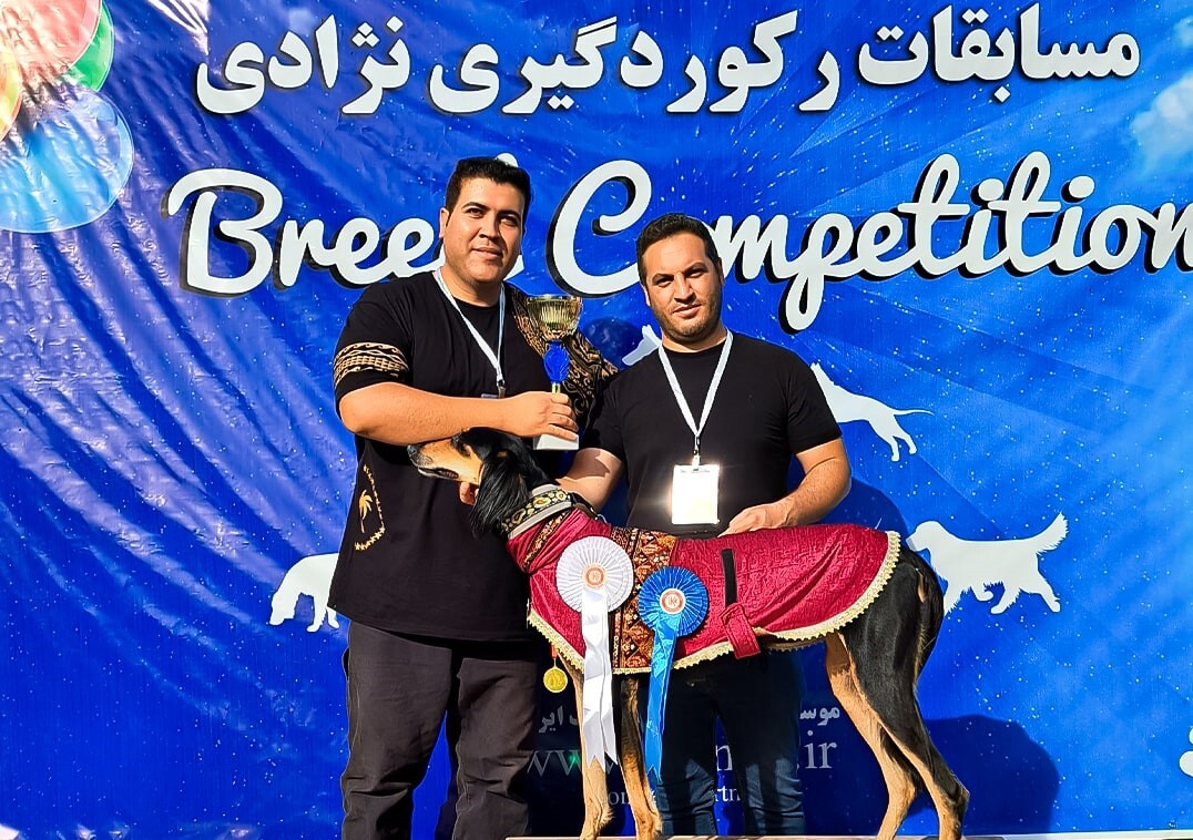 تقی نورپور مربی و رفتارشناس سگ