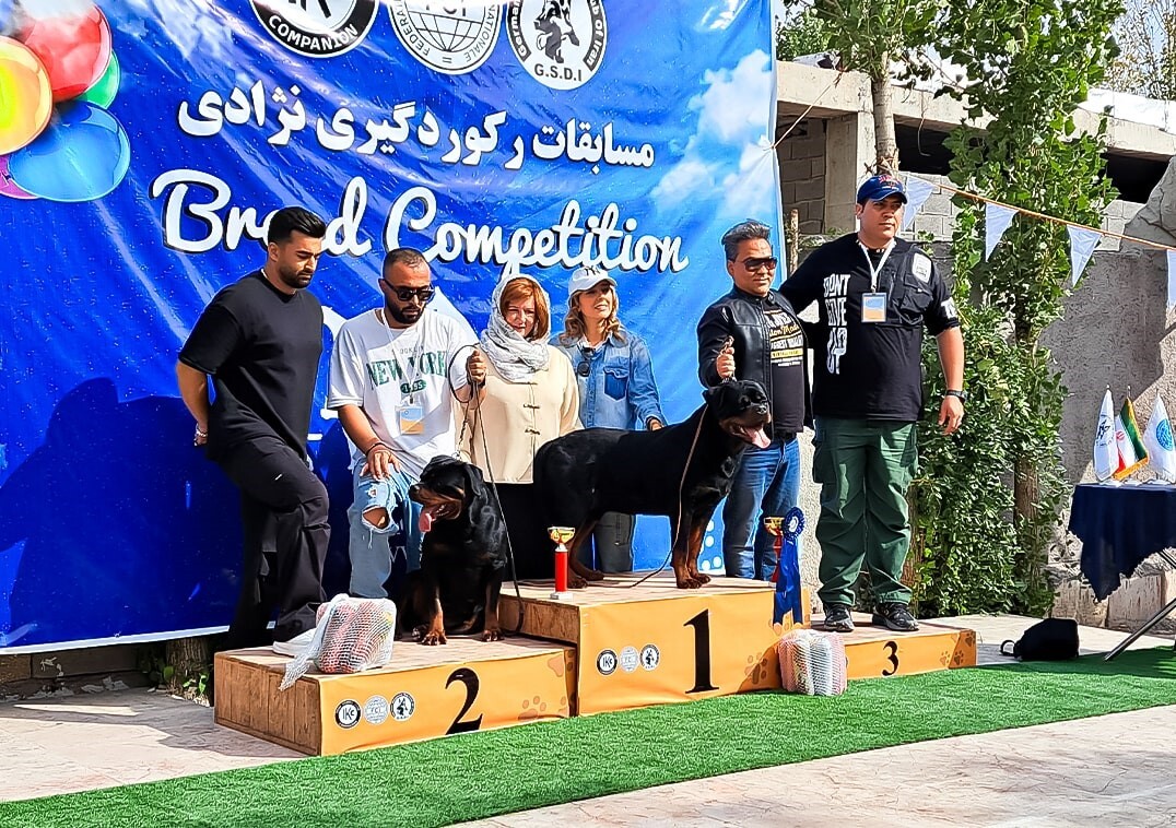 تقی نورپور مربی و رفتارشناس سگ